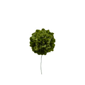 楽天市場 ピスタチオ 種類 植物 キク 花 観葉植物 花 ガーデン Diy の通販