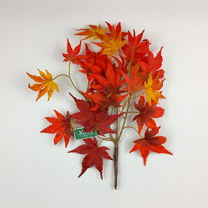 yԁzMAGIQ/݂}~j@#3 RED bh@3}t/FG009222-003y01z ԁiA[eBtBVt[j Ԏ} ~WEC`E