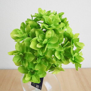 yԁzYDM/A[hnChWAoh _[NO[/FB-2507-DGRy01z ԁiA[eBtBVt[j  ԍށusv izԁj