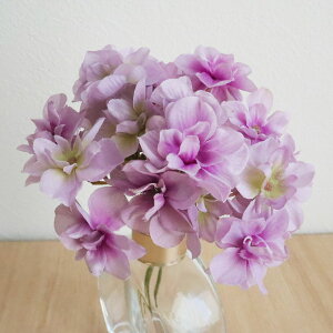 yԁzYDM/A[hnChWAoh p[v/FB-2507-PUy01z ԁiA[eBtBVt[j  ԍށusv izԁj