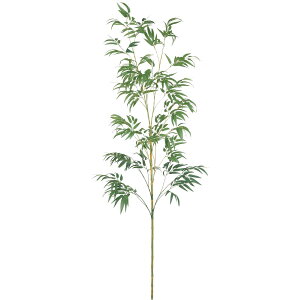 yԁzYDM/g2D4m/FG-5176GRy01z ԁiA[eBtBVt[j Ԏ} |