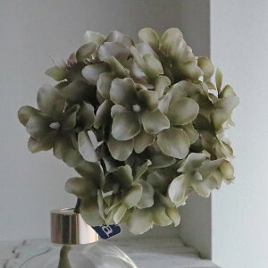 yԁzAXJ/A-39579 nChWA 063@OC/A-39579-063y01z ԁiA[eBtBVt[j  ԍށusv izԁj