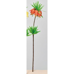 yԁzAXJ/t`A #030 IW/A-34291-30y01z ԁiA[eBtBVt[j  ԍށu͍sv ̑u͍svԉԍ