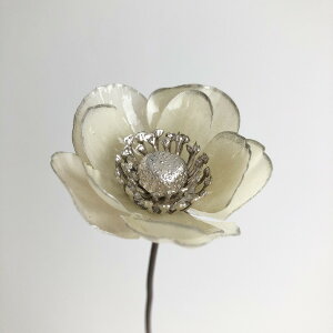 yԁzAXJ/AllsbN N[zCg/A-39676-11y01z ԁiA[eBtBVt[j  ԍށusv All