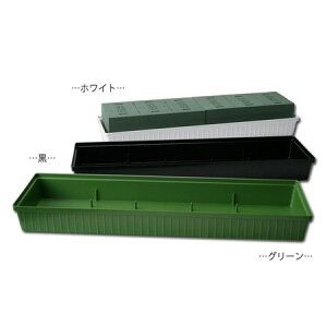 Z/Zx[X#480@/F0306y01z ԊA[X ԊEԕr IAVXx[X