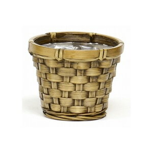 SG Wonder zone/ЍLou[@_3@/203-30Dy07z[10] ԊA[X ԂEt[oXPbg ̑ Ԃ