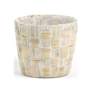 Aؔ  SG Wonder zone/qVX@_5p/369-50Dy07z K[fjOE|pi t[|bg ؐ