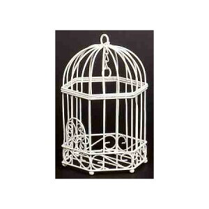 SG Wonder zone/o[hP[Wt[h[/502-051Wy07z ԊA[X ԊEԕr C[Ԋ