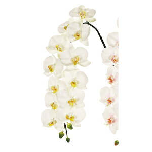 yԁz/t@mWA[mL 1@WHITE /FW093614-001y01z ԁiA[eBtBVt[j  ԍށusv R`EiӒj