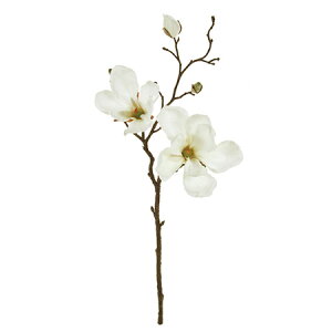 yԁzMAGIQ/}OmA~fB 1@CREAM /FM003336-001y01z ԁiA[eBtBVt[j  ԍށu܍sv Niؘ@jE}OmA