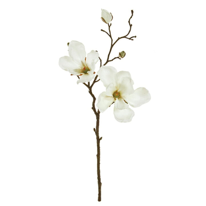 楽天市場 造花 Magiq 東京堂 マグノリアミディ １ ｃｒｅａｍ Fm 001 01 取寄 造花 アーティフィシャルフラワー 造花 花材 ま行 モクレン 木蓮 マグノリア 花材通販はなどんやアソシエ