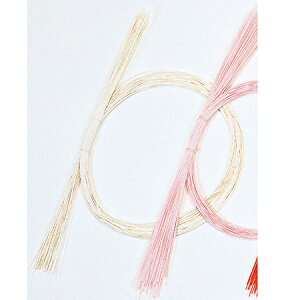 ߂ 001  100{/MH000300-001y01z ԎށEt[Xg fR[Vp[cEf 