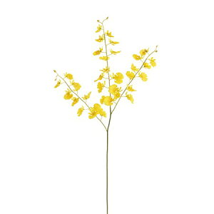 �y���ԁzMAGIQ������/�n�j�[�h���b�v�I���V�W���[�� S YELLOW/FM007915�y01�z ���� �A�[�e�B�t�B�V�����t�����[ �I���V�W���[���t�F�C�N�t�����[ �t�����[�A�����W�ԍ� ������� �n���h���C�h��