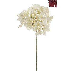 yԁzMAGIQ/AXnChWA@AC{[/FM025048-037y01z ԁiA[eBtBVt[j  ԍށusv izԁj