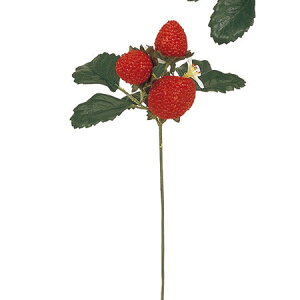 yԁzMAGIQ/Xgx[sbN@3{@/FM005939y01z ԁiA[eBtBVt[j ԎAtFCNt[c EXgx[