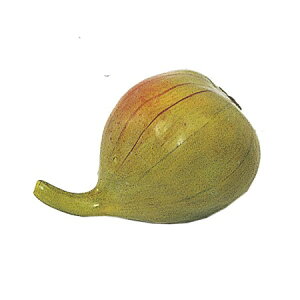 yԁzMAGIQ/C`WN@O[ GREEN 0/FW032801y01z ԁiA[eBtBVt[j ԎAtFCNt[c EXgx[