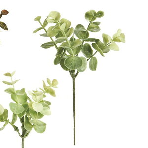 yԁzMAGIQ/[JvsbN@22@MILDGR@6{/FG008796-022y01z ԁiA[eBtBVt[j ԗtAtFCNO[ [J