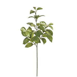 yԁzMAGIQ/tbVz[tXv[@CRDGR/FG009089y01z ԁiA[eBtBVt[j ԗtAtFCNO[ TJL