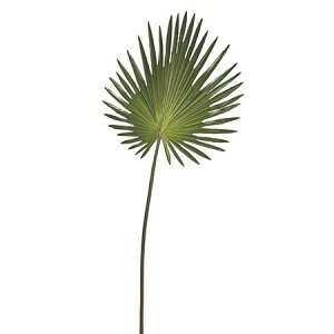 yԁzMAGIQ/t@p[[t@GREEN/FG001237y01z ԁiA[eBtBVt[j ԗtAtFCNO[ V