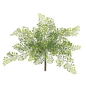 yԁzMAGIQ/AWA^ubV@GREEN/FG009307y01z ԁiA[eBtBVt[j ԗtAtFCNO[ t@[