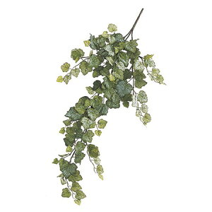 yԁzMAGIQ/tXg~jACr[oC@LT^GREEN/FG008204y01z ԁiA[eBtBVt[j ԗtAtFCNO[ ACr[