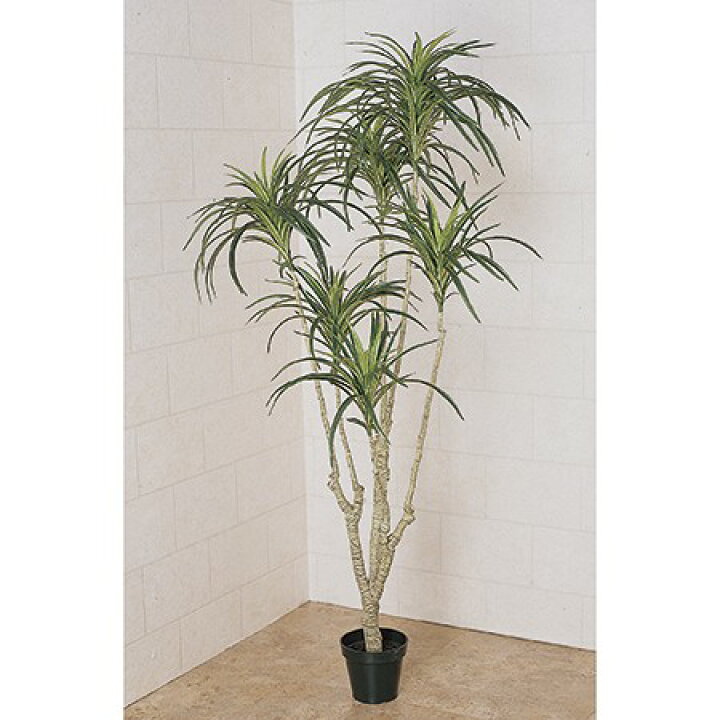 楽天市場 直送 人工観葉植物 東京堂 ユッカプラント ６ ｇｒｅｅｎ Fg 返品 代引不可 01 造花 アーティフィシャルフラワー 人工観葉植物 高さ 150cm 花材通販はなどんやアソシエ