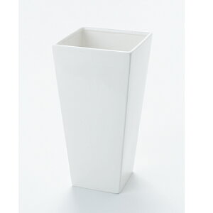 /lIXNGAL@VCj[zCg/CX000474-001y01z ԊA[X ԊEԕr Ԋ