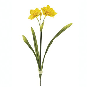 yԁzMAGIQ()/{@CG[/FM003684-004y01z ԁiA[eBtBVt[j  ԍށusv XCZij