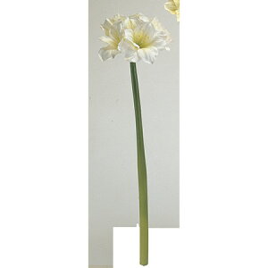 yԁzMAGIQ/GUA}X@zCg/FM100179-001y01z ԁiA[eBtBVt[j  ԍށusv A}X