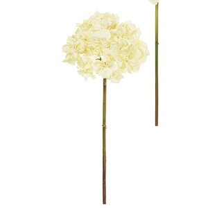 yԁzMAGIQ/NVJnChWA 37@CREAM 0/FW098194-037y01z ԁiA[eBtBVt[j  ԍށusv izԁj