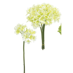 yԁzMAGIQ/TnChWA@6{@N[O[/FM004182-001y01z ԁiA[eBtBVt[j  ԍށusv izԁj