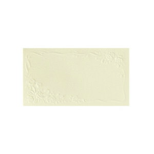 `LEO[eBOX/MtgJ[h ړI N[ 50/G-438y01zy01z bsOpi A bZ[WJ[h O[eBOJ[h