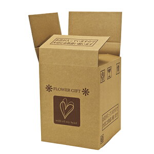 クリアケースBOX21 20枚/GF000711【01】 ラッピング用品 、梱包資材 ダンボール・宅配袋 ダンボール