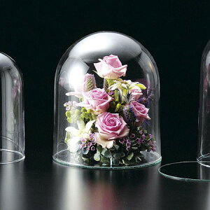 LEO^JIJ/T|3714@h[OX/142-3714-0y01z ԊA[X ԊEԕr h[AKXh[