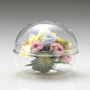 LEO^JIJ/KX@T|1551@{[LjX^[S/142-1551-0y01z ԊA[X ԊEԕr h[AKXh[