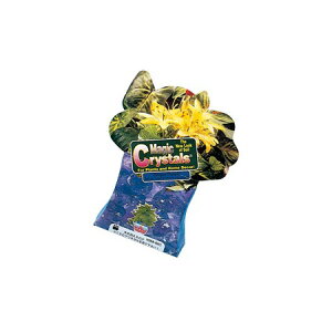 zr[/}WbNNX^iPFj O[vp[v/MC2005y01z[24] ԎށEt[Xg fR[Vp[cEf }WbNNX^AJ[EH[^[