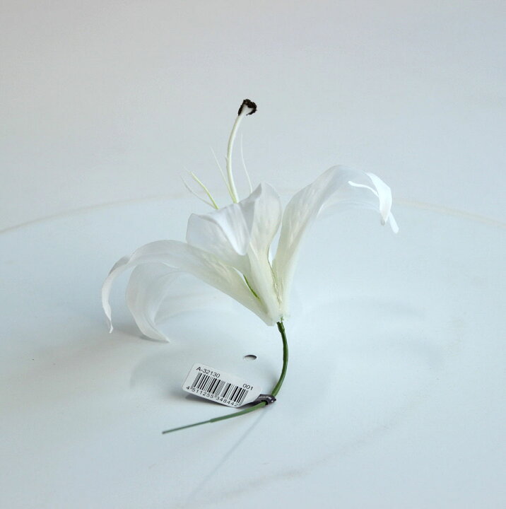 281円 【送料無料/新品】 造花 アスカ アマランサス×3 #001 ホワイト A-33419-1 花材 か行 ケイトウ 281円 【送料無料/新品】 造花 アスカ アマランサス×3 #001 ホワイト A-33419-1 花材 か行 ケイトウ