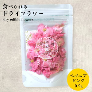 GfBut[ hC Hp hCt[ xSjA sN 0.9g  fR[V Hׂ  a v[g Mtg R i` ꌧ [֑Ή ACVO N