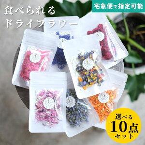 GfBut[ hC Hp Iׂ 10_Zbg }  fR[V Hׂ  a  o^Cf[ hCGfBut[ P[L  َq ̓