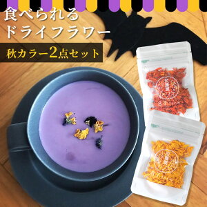 nEB gt GfBut[ 2_Zbg H IW CG[ RXX hC Hp hCt[ fR[V Hׂ  v[g Mtg R ꌧ [֑Ή 
