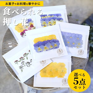 GfBut[ Hp hC  5_Zbg rI ~bNX  Y NX}X fR[V Hׂ  a o^C P[L  v[g t 