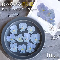 エディブルフラワー ドライ 花びら 押し花 食用花 ドライフラワー ビオラ ヘブンリーブルー 10枚 乾燥 デ…