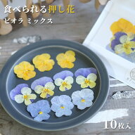 エディブルフラワー ドライ 花びら 押し花 食用花 ドライフラワー ビオラ ミックス 10枚 乾燥 デコレーシ…