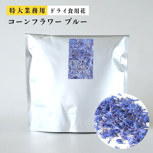 Ɩp GfBut[ hC Hp 󂠂 hCt[ JtF HX ٓX fR[V Hׂ  Cxg   R i` ꌧ [ACVONbL[ P