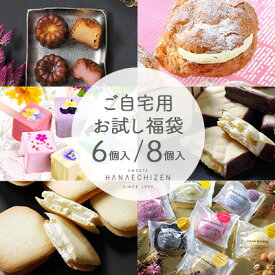 お中元 夏の贈り物 帰省土産 ご自宅用 お試しスイーツ福袋 簡易包装 お菓子 即日発送 送料無料 お取り寄せ おやつ