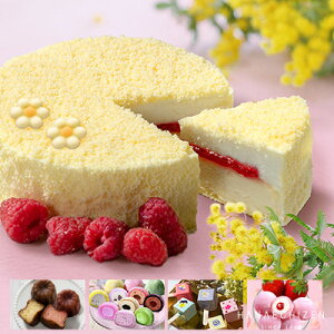 H̑蕨 nEB v[g XC[c َq   Vg̃hD[ut}[WIׂXC[cZbg a j Mtg  җj oYj j 