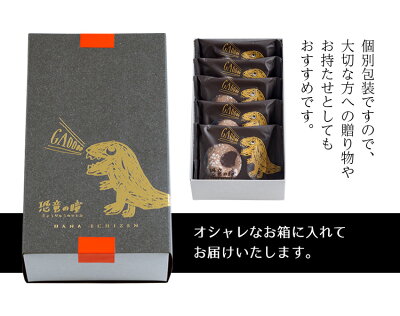恐竜の瞳5個入