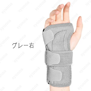 T|[^[ (#z117) Œ {  ی ewT|[^[ F≊  ɂ P ʋC jp ×p ֐߉ ֐ߒ