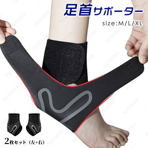 z31# T|[^[ X|[cp { 2荶EZbg g[jO P AEghA ֐ ی }WbNe[v F jp Œ