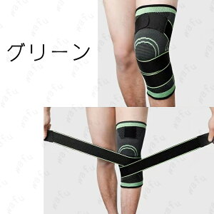 GT|[^[ (#z33) 2Zbg X|[c { G̒ɂ  ֐ 傫TCY G ی Gpbh 싅 jO ×p Ђ